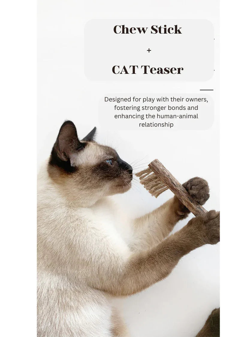 Silvervine Toothbrush