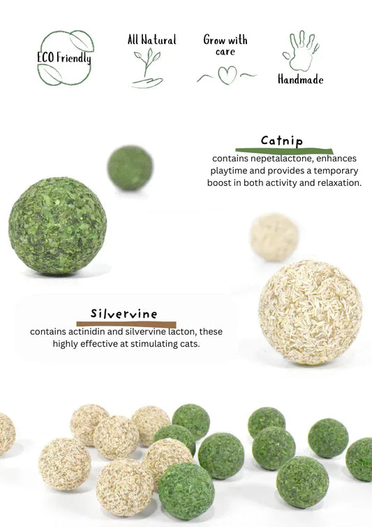 Haricot Nettoyant Dents pour Chatonnières / Vigne Argentée 5pcs