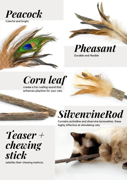 Ensemble de têtes de rechange et canne à pêche pour cataire - 2 têtes et 1 canne