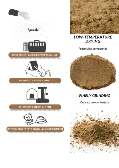 Poudre de fruit de galle de vigne d'argent