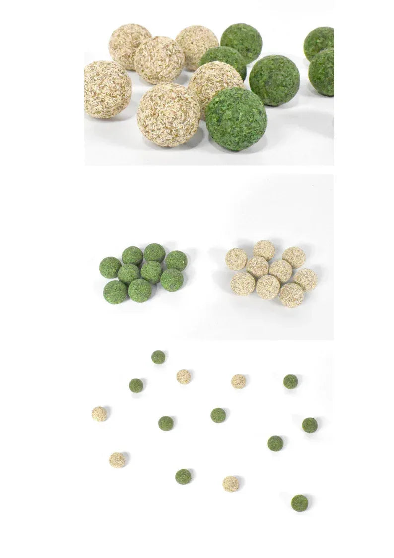 Haricot Nettoyant Dents pour Chatonnières / Vigne Argentée 5pcs