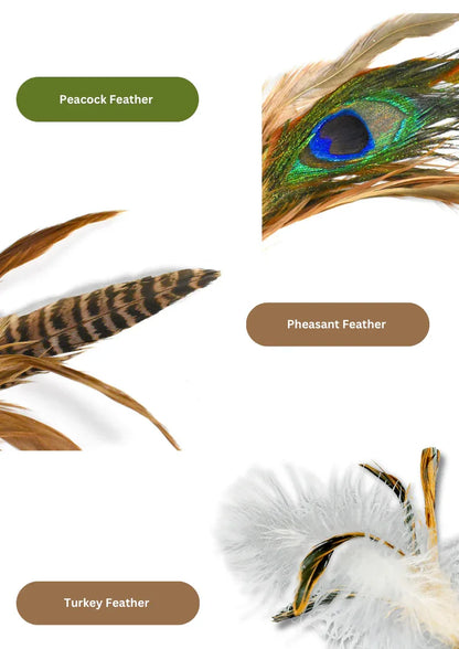 Oiseau en vigne argentée/herbe à chat