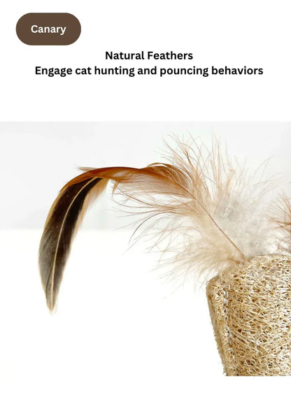 Balançoires à vigne argentée – Canari / Panda