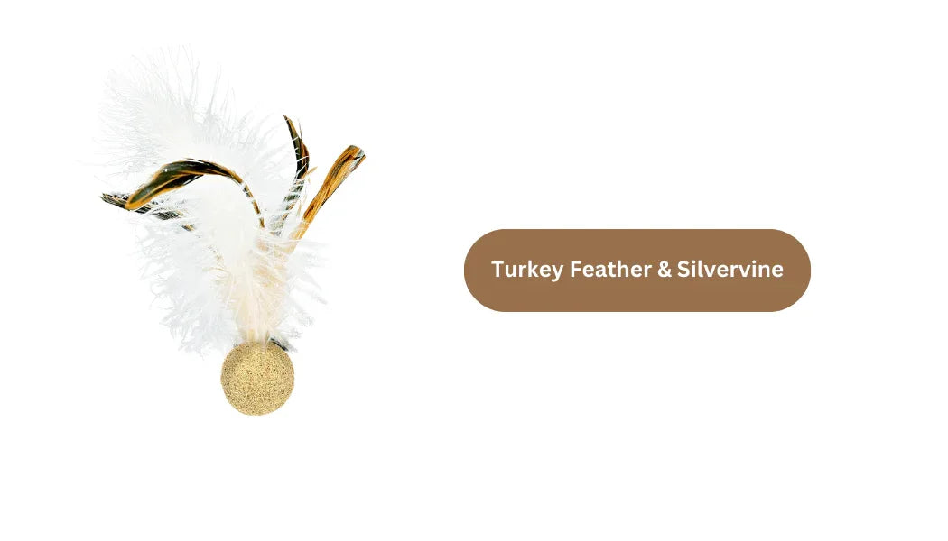 Oiseau en vigne argentée/herbe à chat