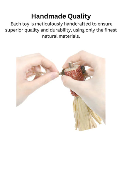 Chabot, Cornue, Poisson rouge