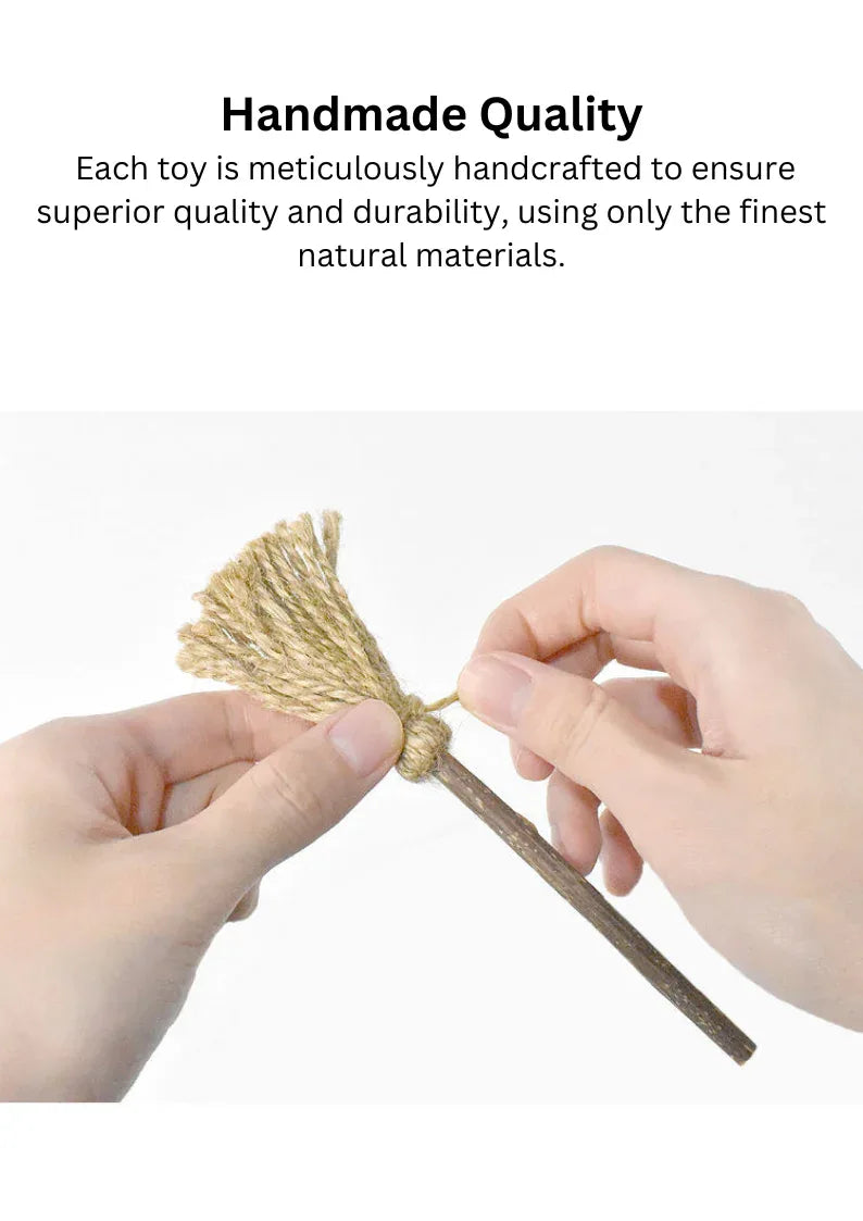 Baguette magique d'Actinidia