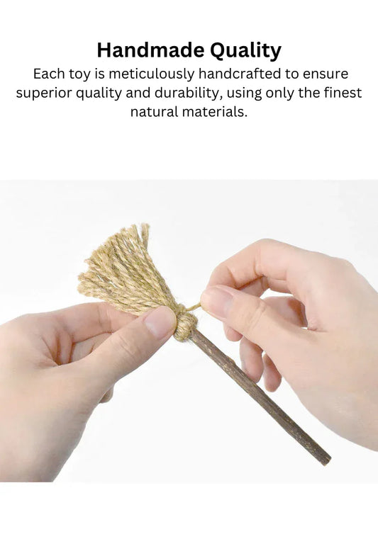 Baguette magique d'Actinidia