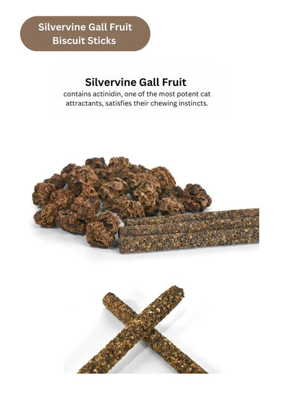 Bâtonnets de biscuits à l'herbe à chat et au fruit de vigne argentée - 8 pièces