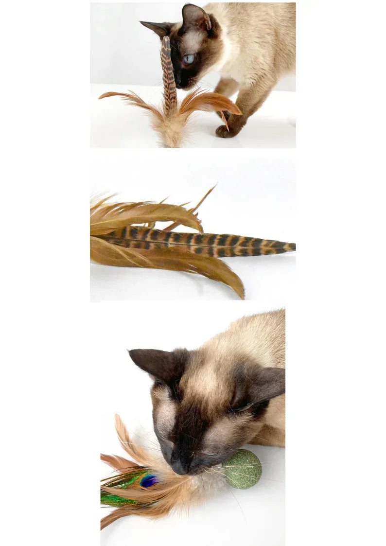 Oiseau en vigne argentée/herbe à chat