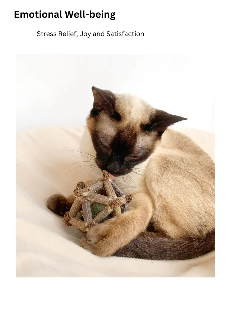 Étoile à douze branches de vigne argentée