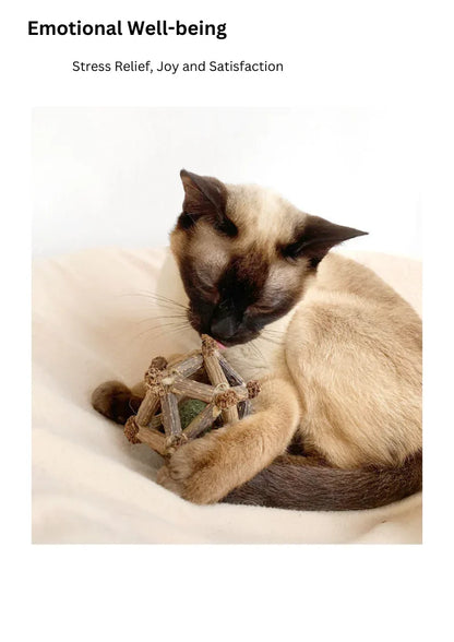 Étoile à douze branches de vigne argentée