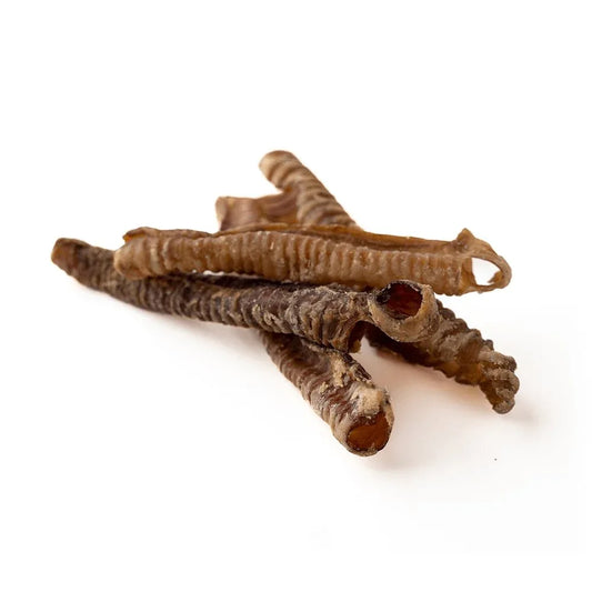 Trachée d'agneau de 12 à 18 cm