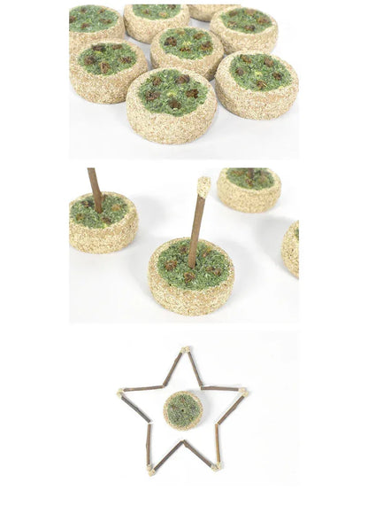 Gâteau d'anniversaire à l'actinidia