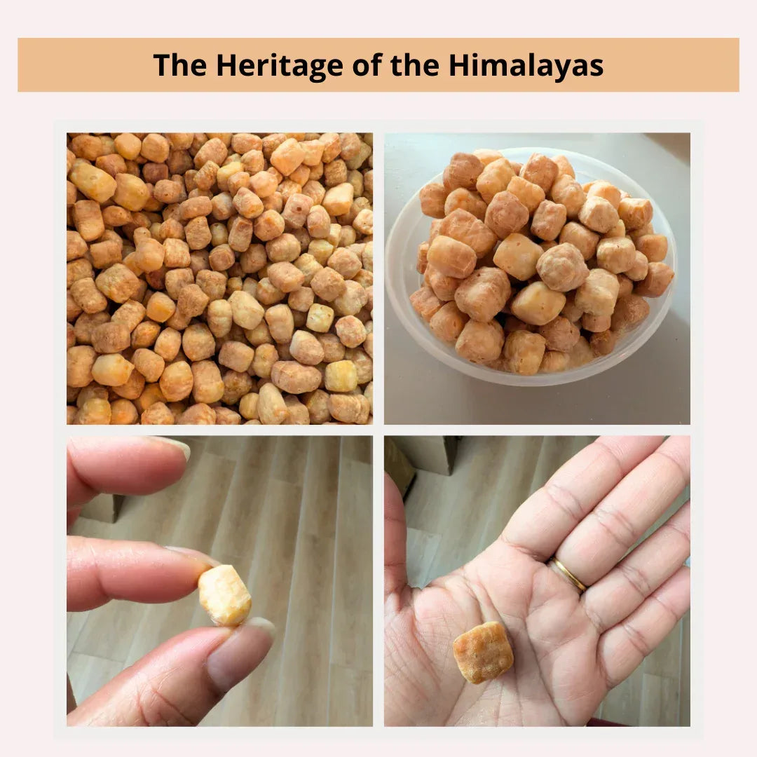 Friandises au fromage de Yack pour chiens – Citrouille