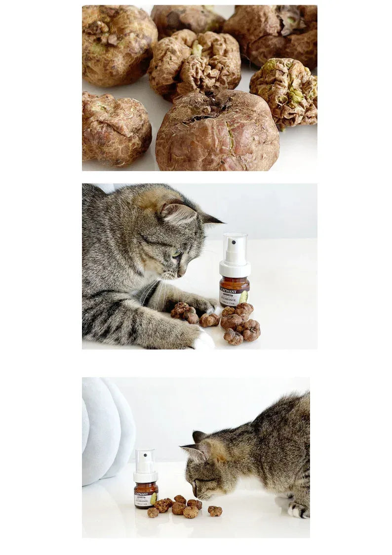 Freeze-Dried Silvervine (Matatabi) Gall Fruit Hydrosol, 35 ML