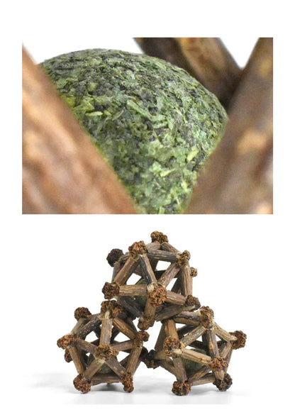 Étoile à douze branches de vigne argentée