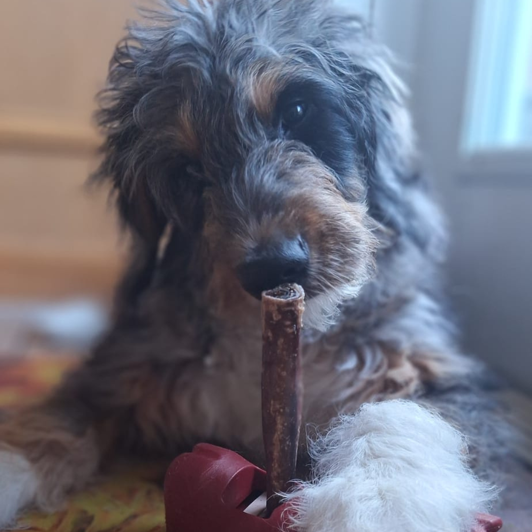 Bully Bunches 5-6 Inch Champion Chew