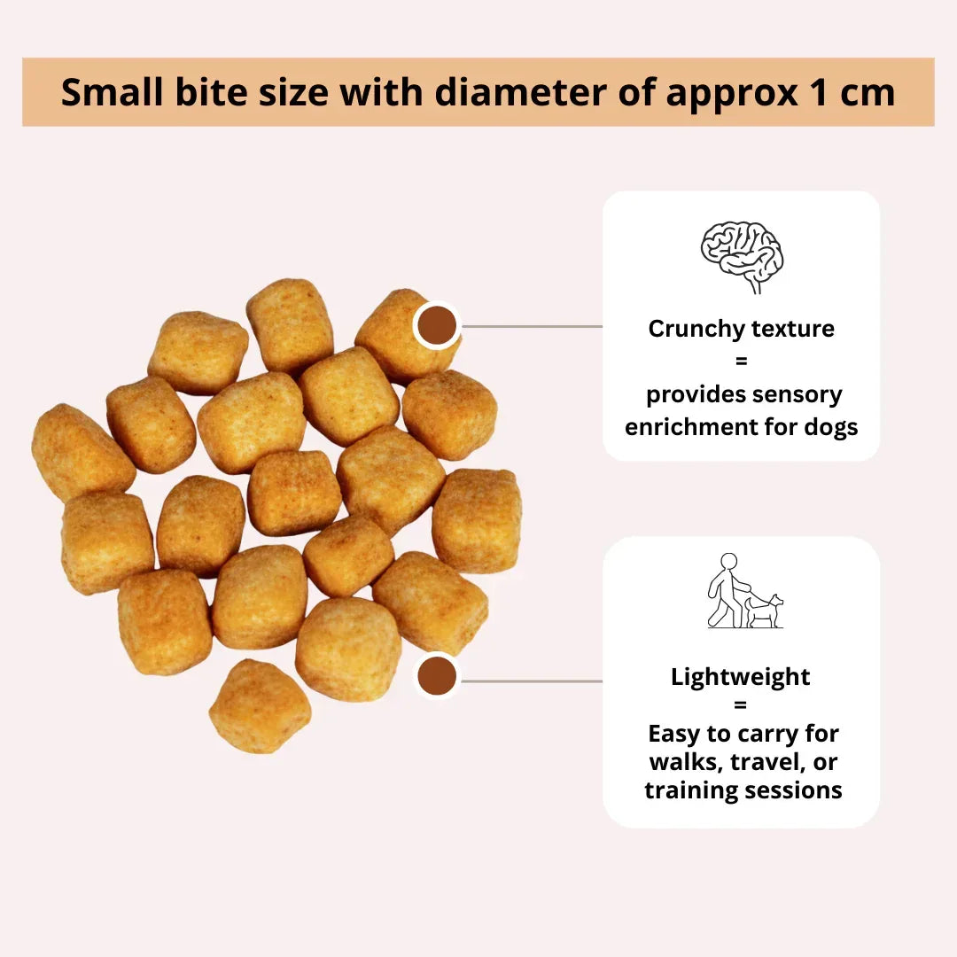 Friandises au fromage de Yack pour chiens – Citrouille