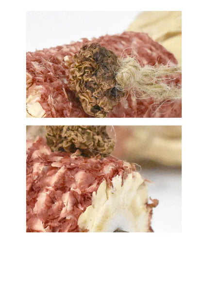 Chabot, Cornue, Poisson rouge