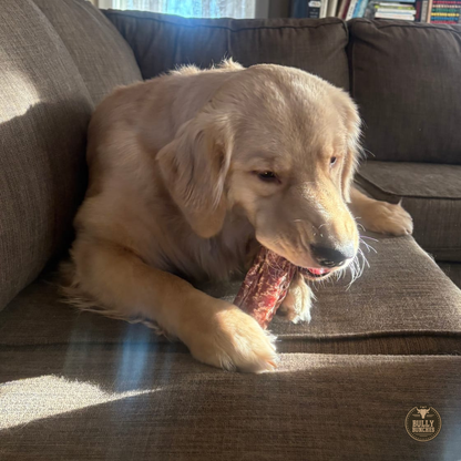 Bully Bunches 6 Inch Trachea Wrapped in Jerky