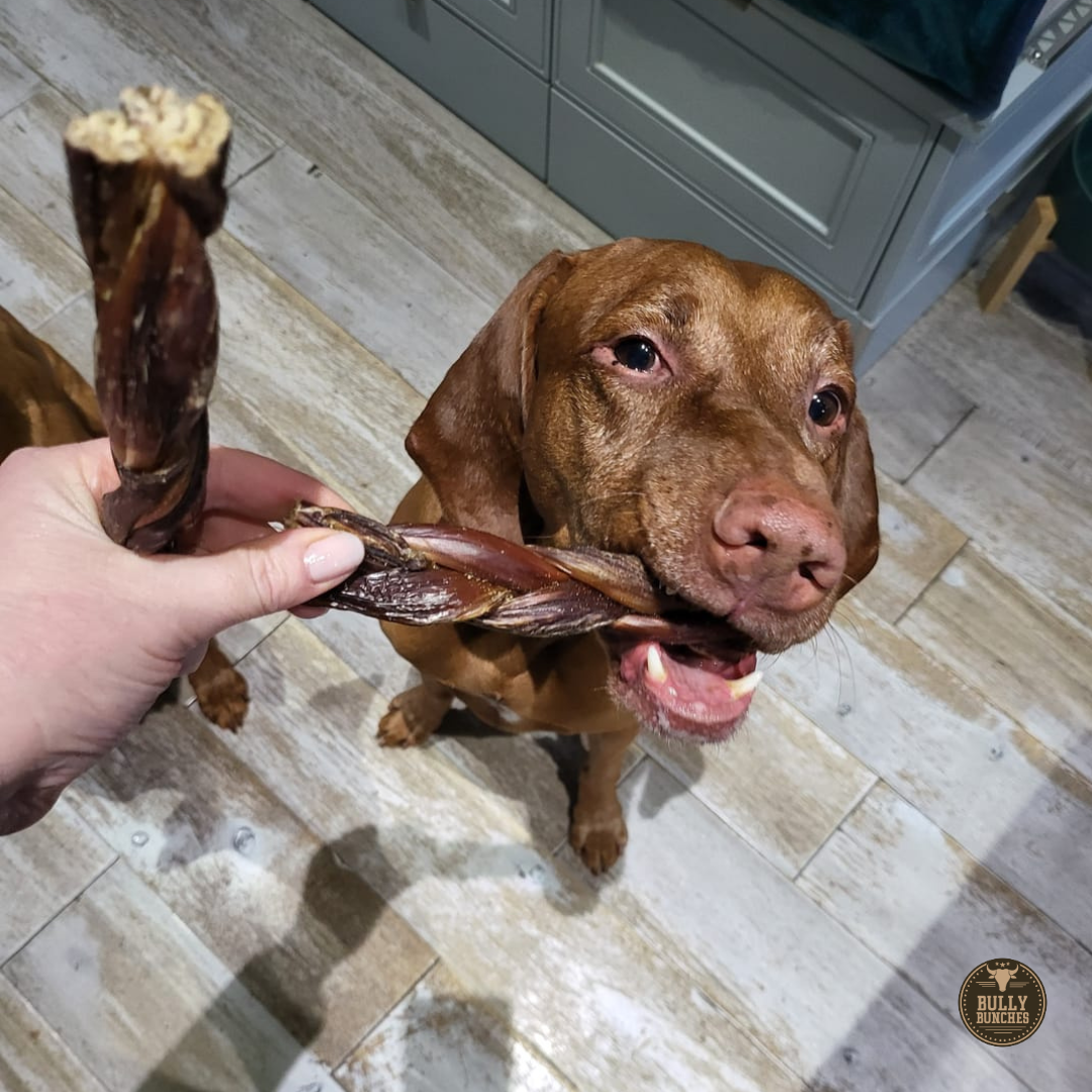 Bully Bunches 6 Inch Braided Jerky Stick