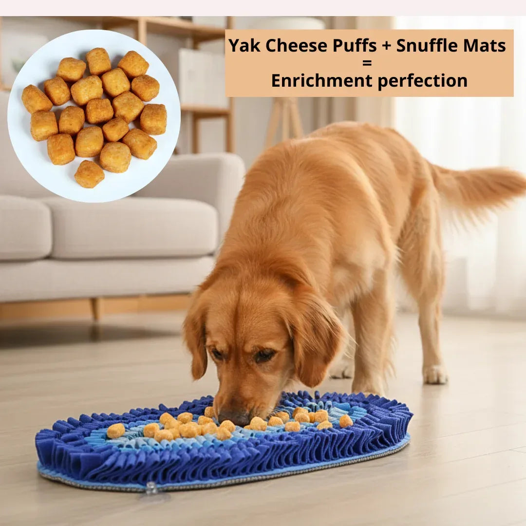 Friandises au fromage de Yack pour chiens – Citrouille