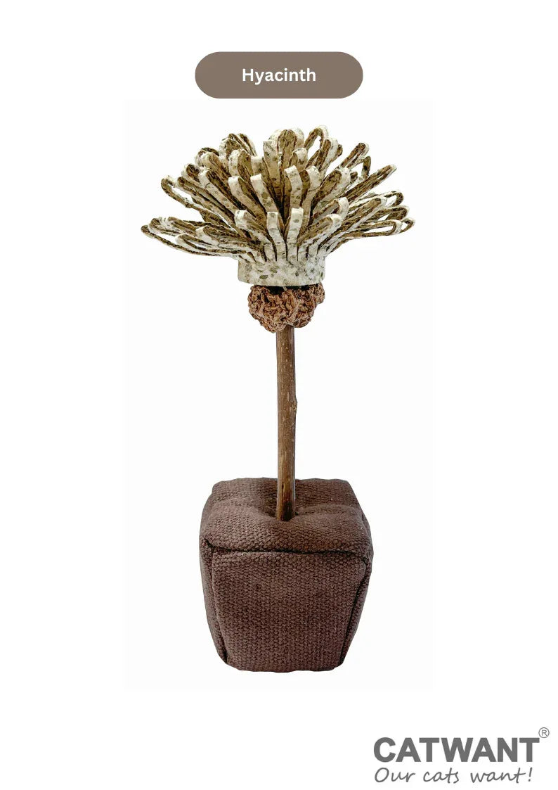 Fleur en papier d'herbe à chat