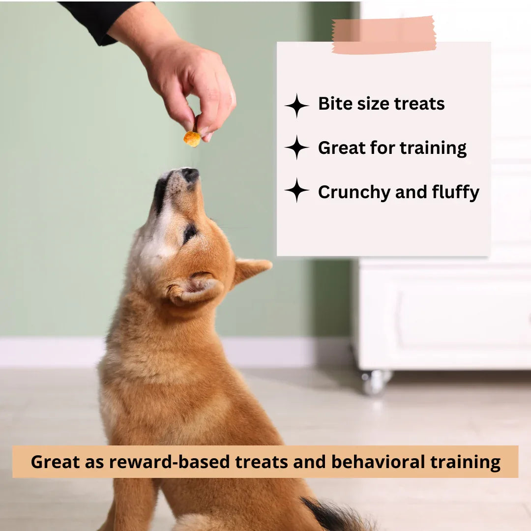 Friandises au fromage de Yack pour chiens – Citrouille