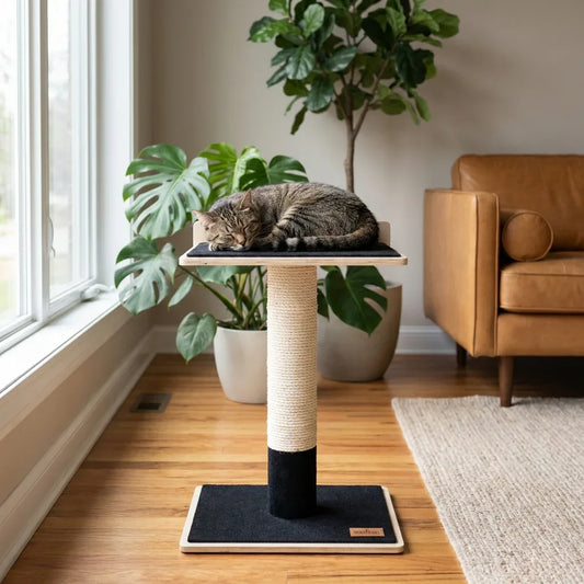 Arbre à chat 1 niveau en contreplaqué moderne Noba