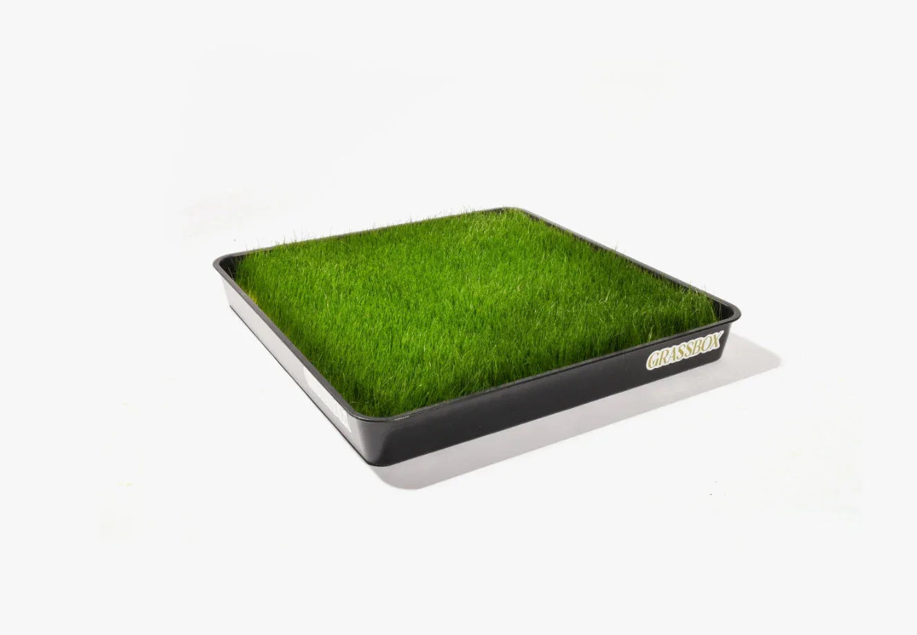 Bac réutilisable GrassBox