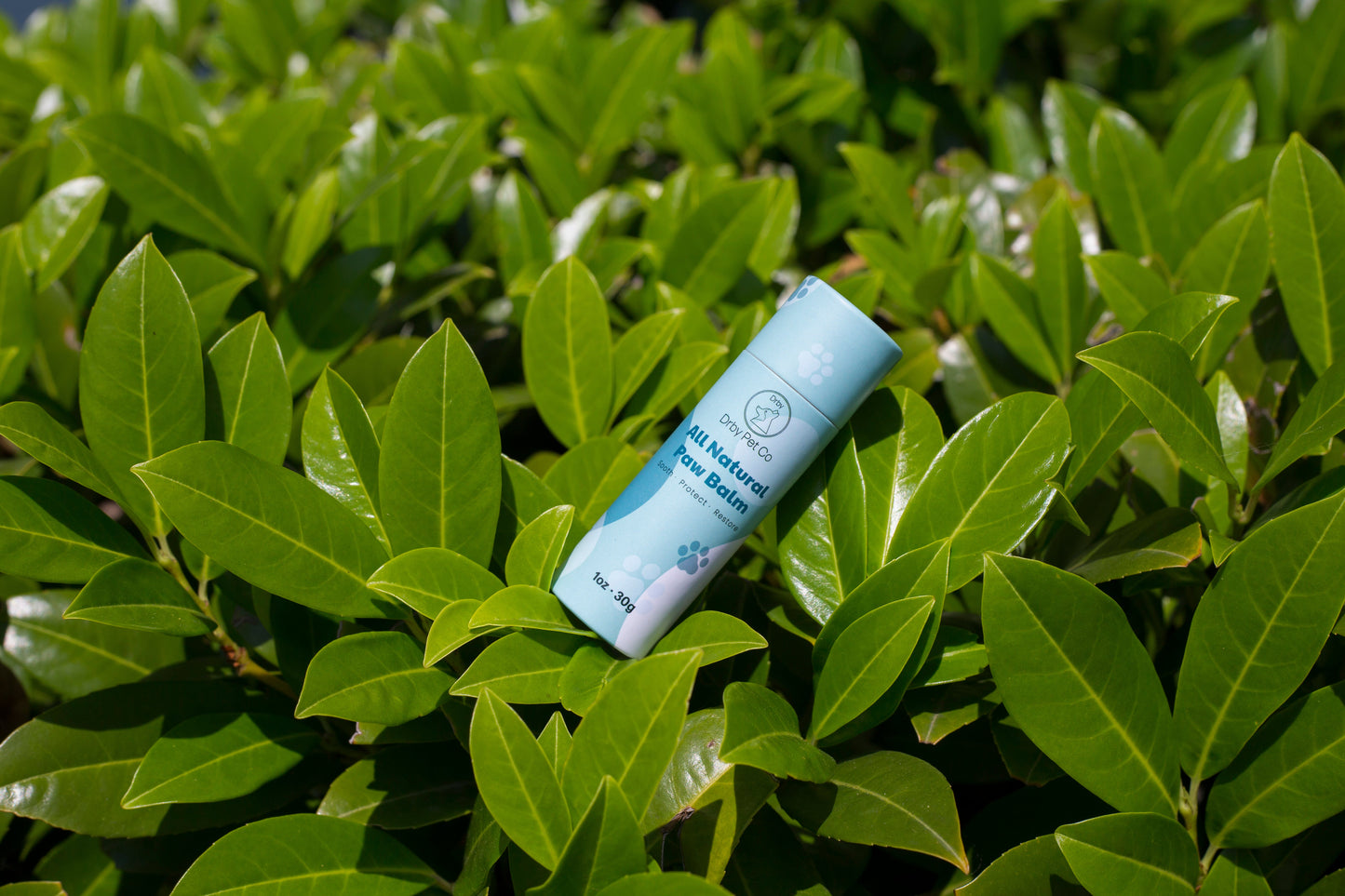 Drby All Natural Paw Balm