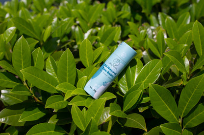 Drby All Natural Paw Balm