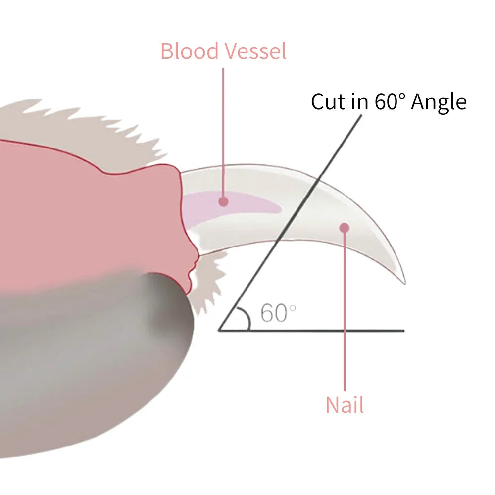 Coupe-Griffes LED Noba pour Chiens et Chats