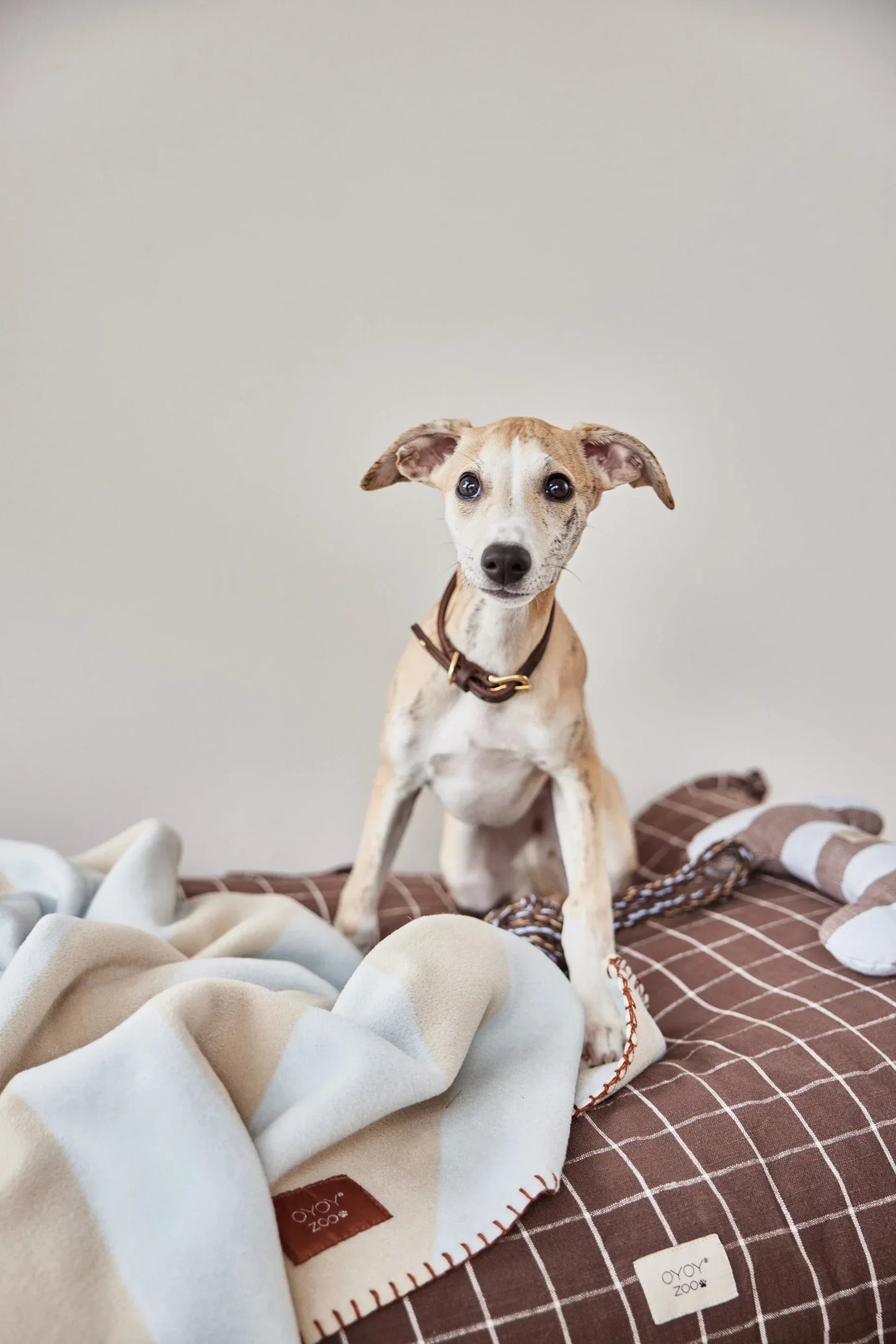 OYOY Kaya Dog Blanket - Large