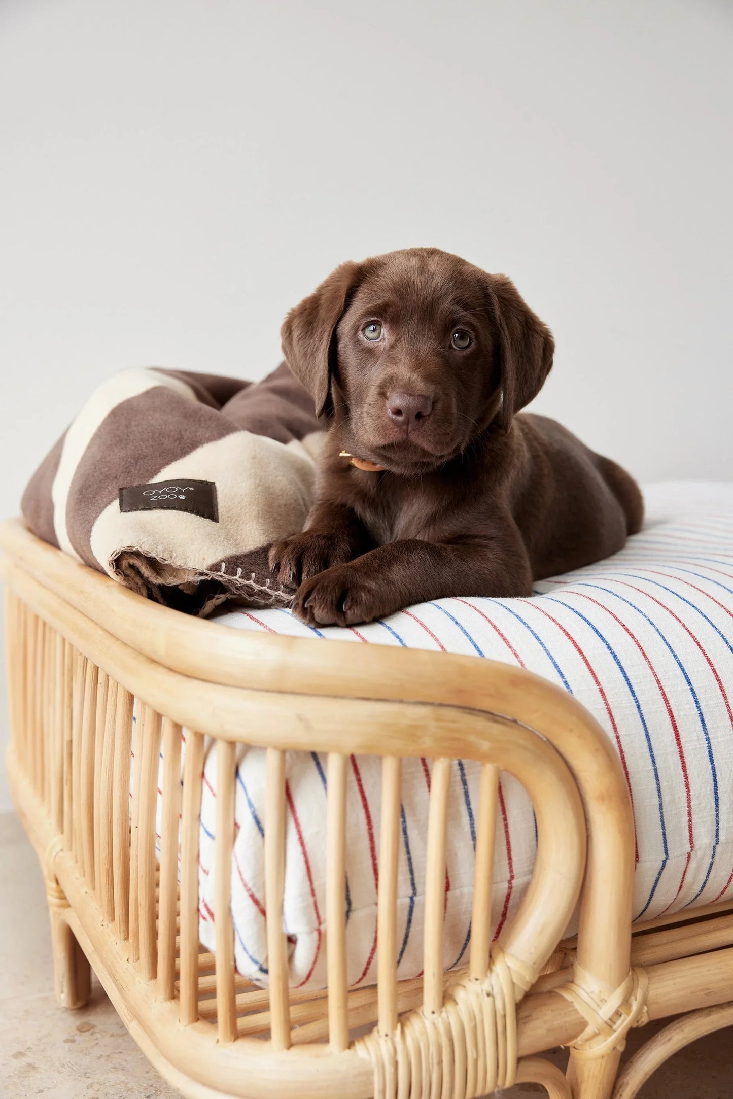 OYOY Kaya Dog Blanket - Large