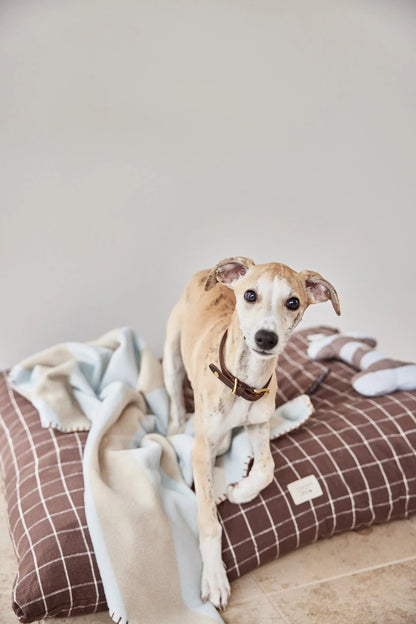 OYOY Kaya Dog Blanket - Medium