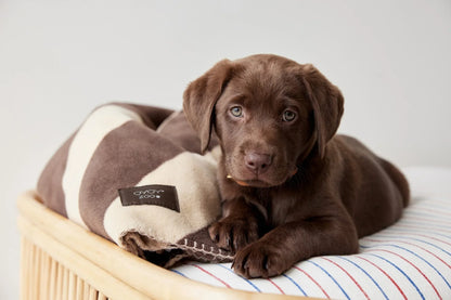 OYOY Kaya Dog Blanket - Small
