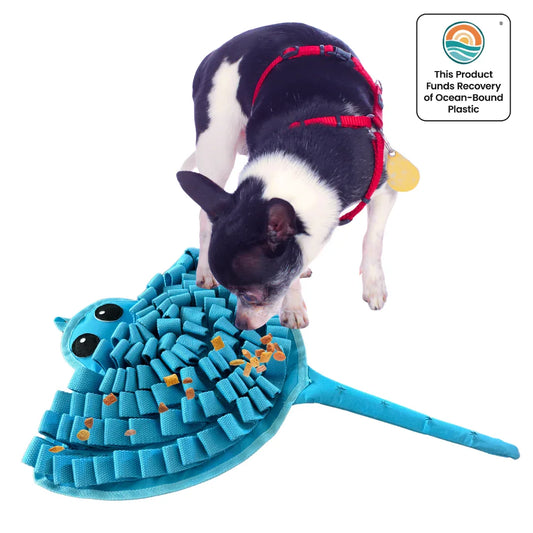 Sassy Stingray par LuvMyFido