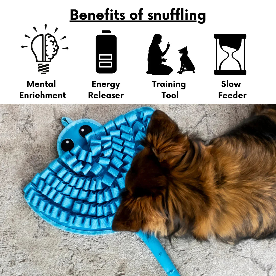 Sassy Stingray par LuvMyFido