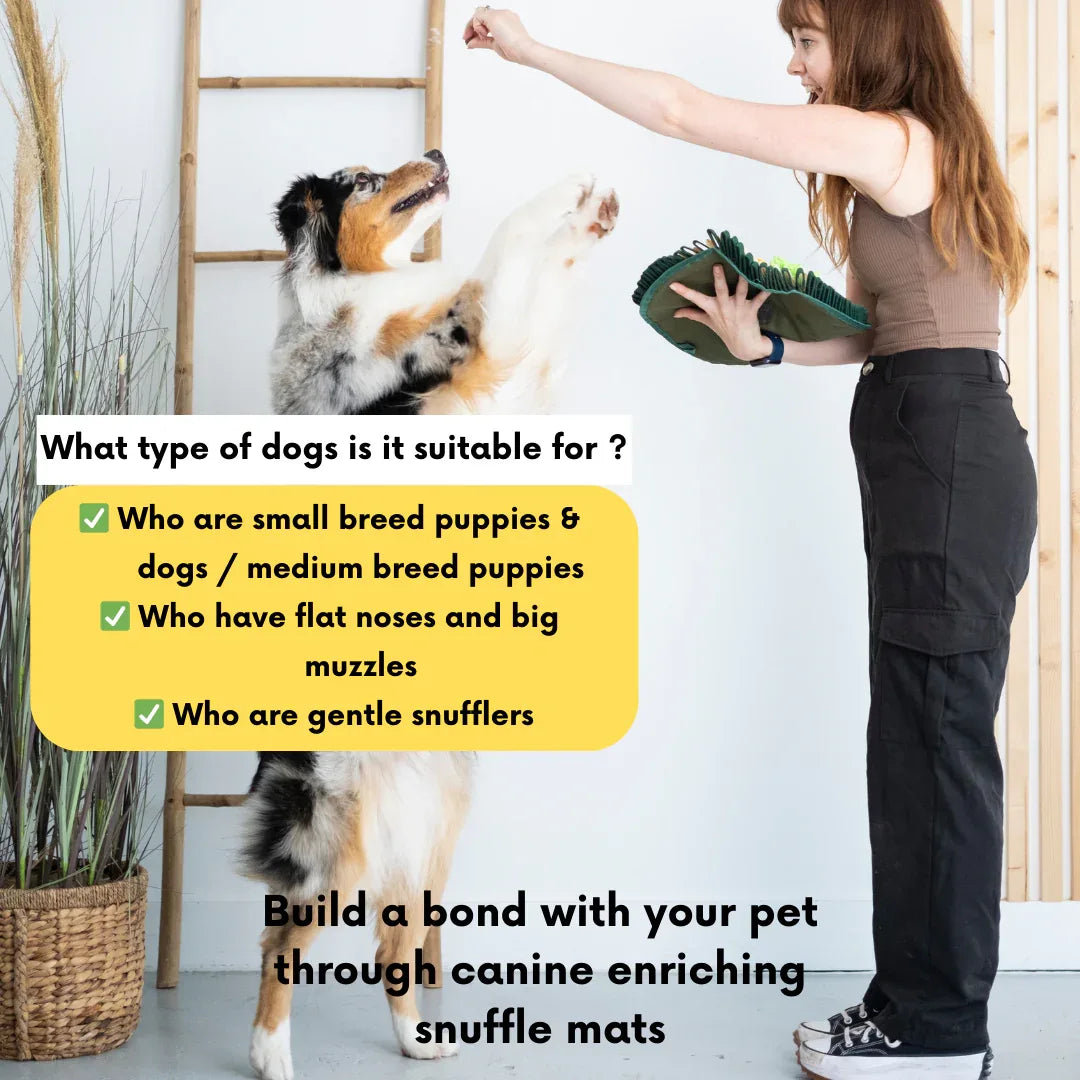 Rouleau de sushi chaud par LuvMyFido