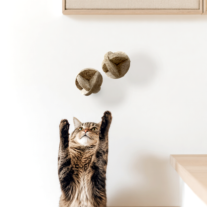 MATT Natural Cat Balls, Set of 2