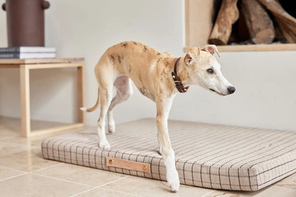 OYOY Milo Grid Dog Cushion - Large
