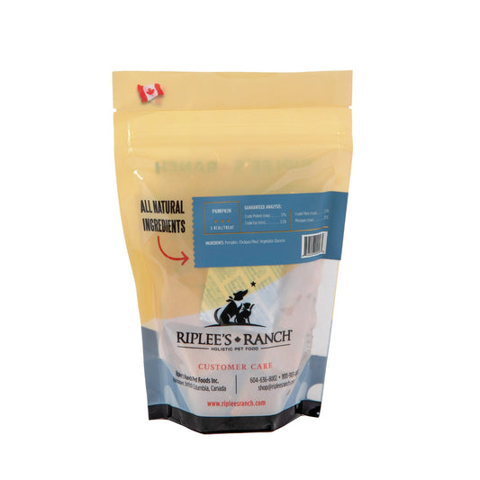 Riplee's Ranch Pumpkin - Soft Square - Dog Treats