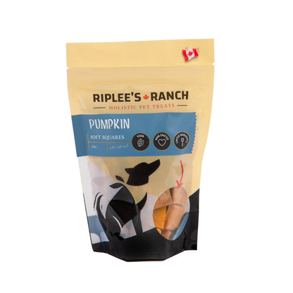 Riplee's Ranch Pumpkin - Soft Square - Dog Treats