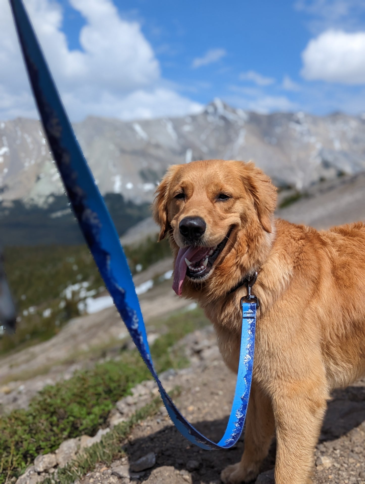 Woof & Stuff Sea to Sky Leash