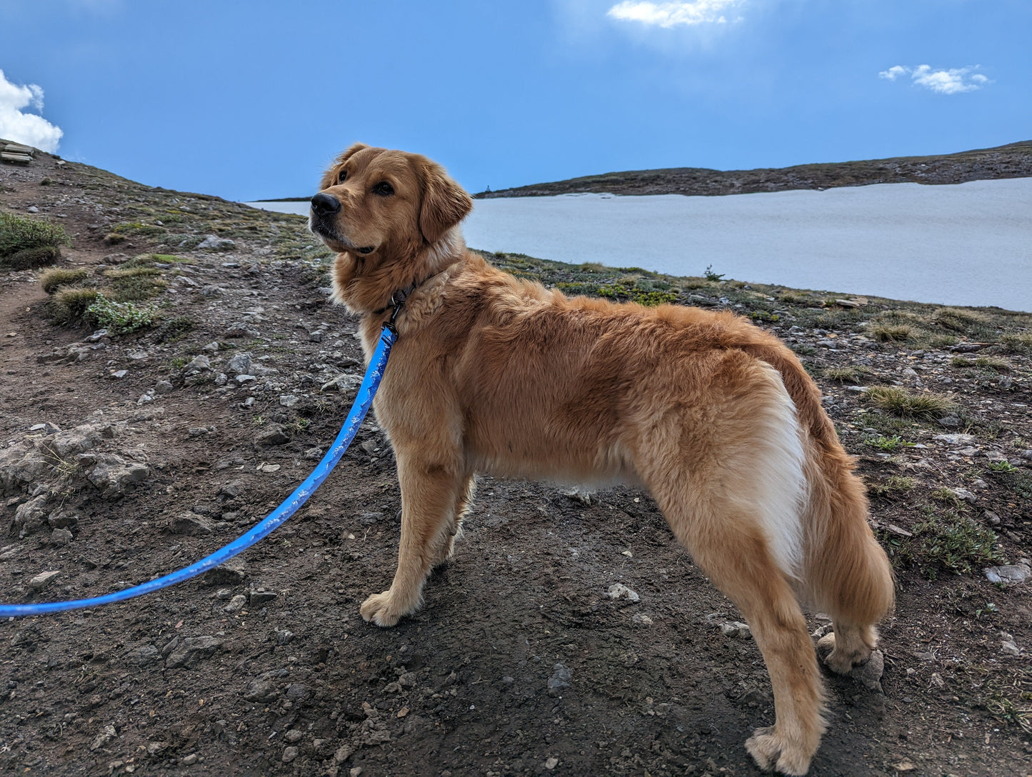 Woof & Stuff Sea to Sky Leash