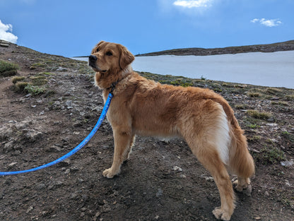 Woof & Stuff Sea to Sky Leash
