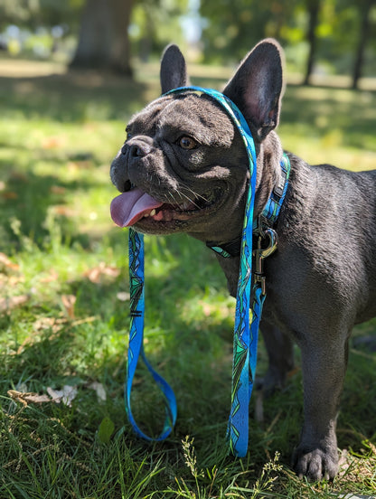 Woof & Stuff West Coast Leash