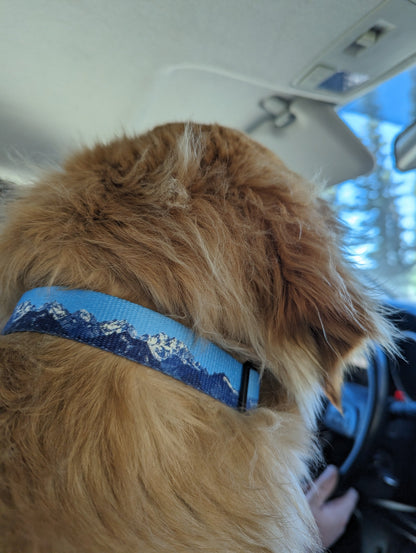 Woof & Stuff Sea to Sky Collar
