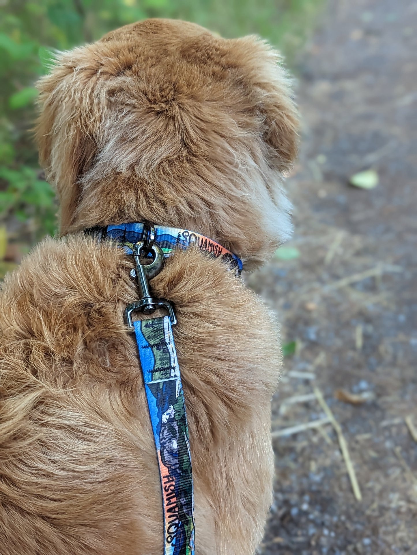 Woof & Stuff Squamish Leash